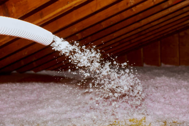 Professional Insulation Contractor in Verona, KY