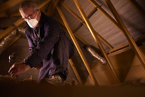 Best Residential Insulation in Verona, KY