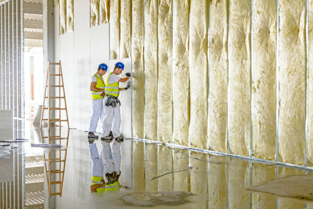 Best Cellulose Insulation in Verona, KY